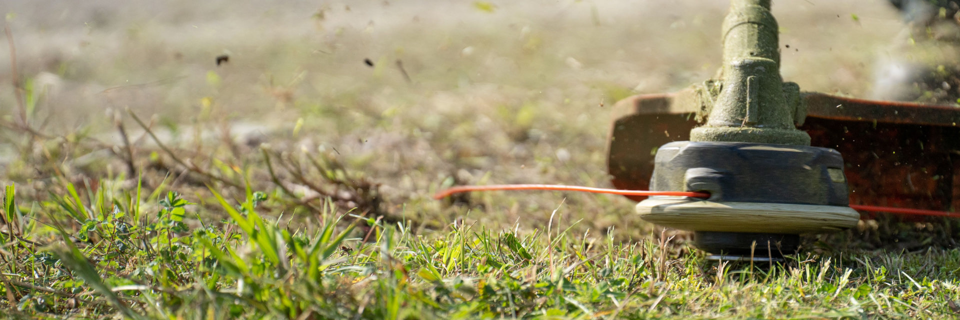 A grass trimmer cutting through a lawn